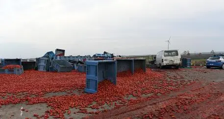 Nuovo incidente a pulmino di braccianti in Puglia, 11 morti