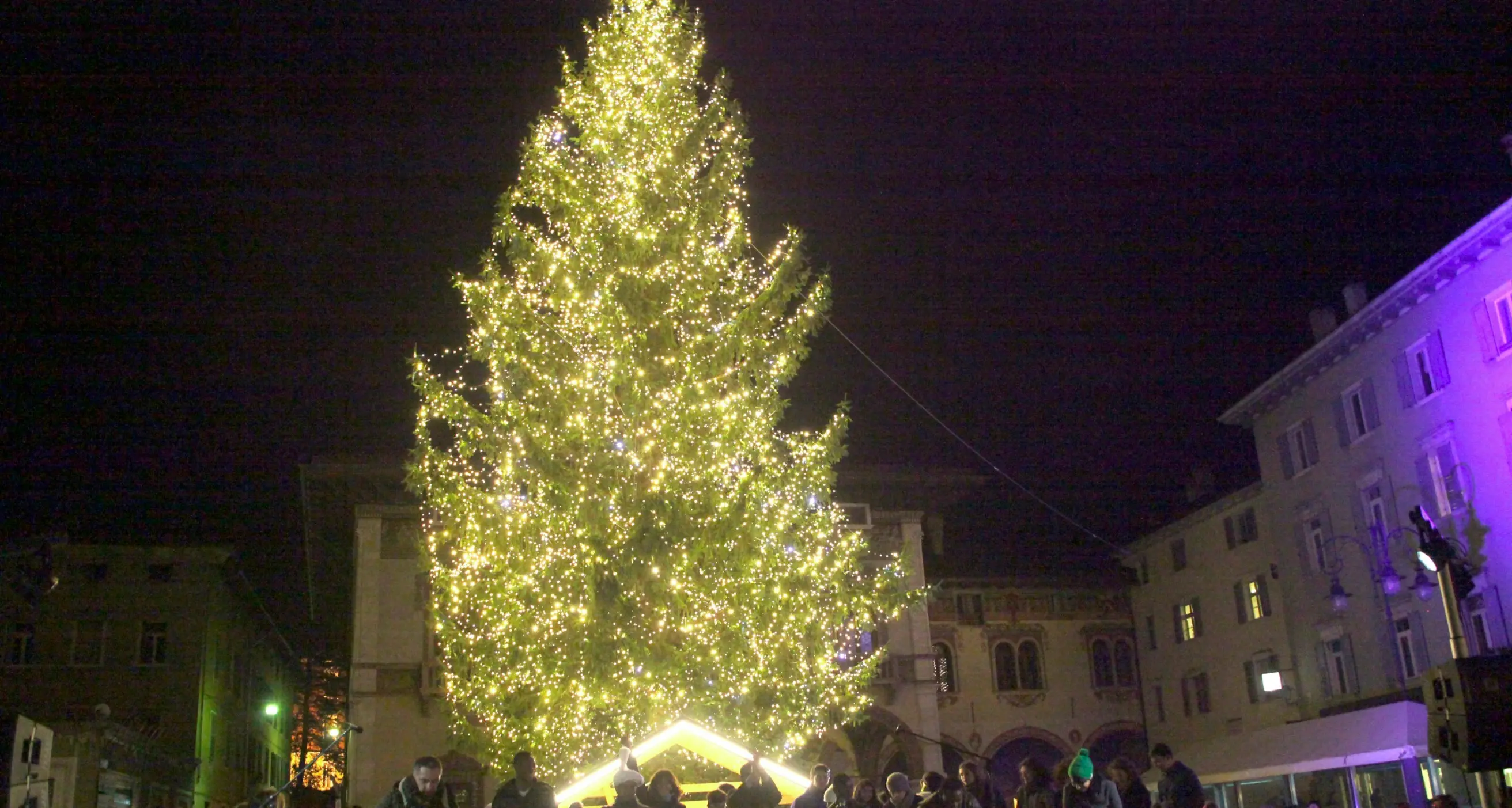 Rovereto, oggi si accende il grande albero in piazza Rosmini