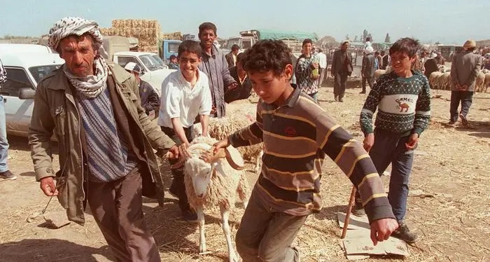 Festa del sacrificio, Brambilla: «Stordire gli animali prima della macellazione»
