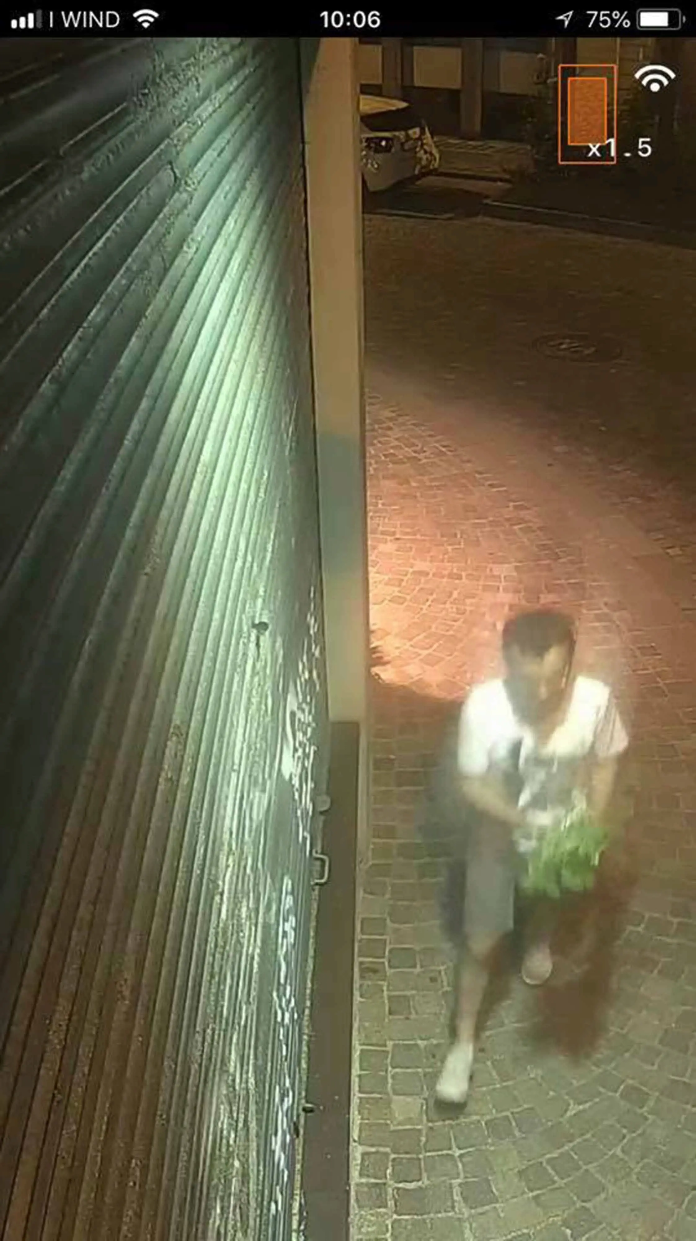 Ripreso mentre ruba i fiori della gioielleria in centro