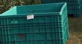 Sequestra donna per 2 settimane Chiusa in un cassone per le mele