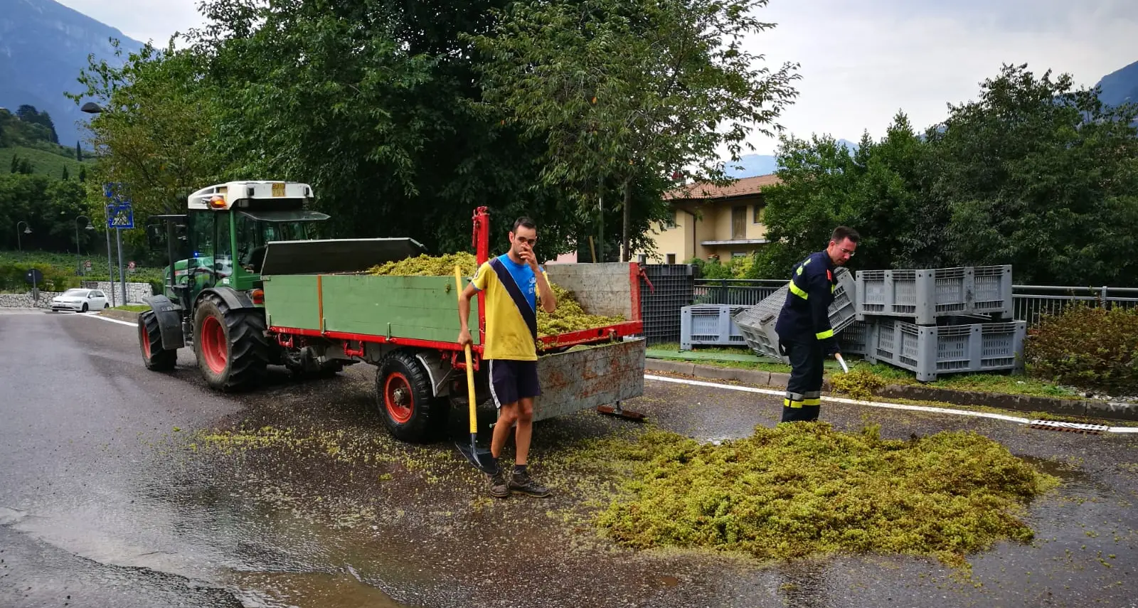 Si ribalta rimorchio del trattore: a Madonna Bianca strada invasa dall'uva