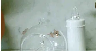 Ladri in azione al cimitero Sparito il piccolo presepe