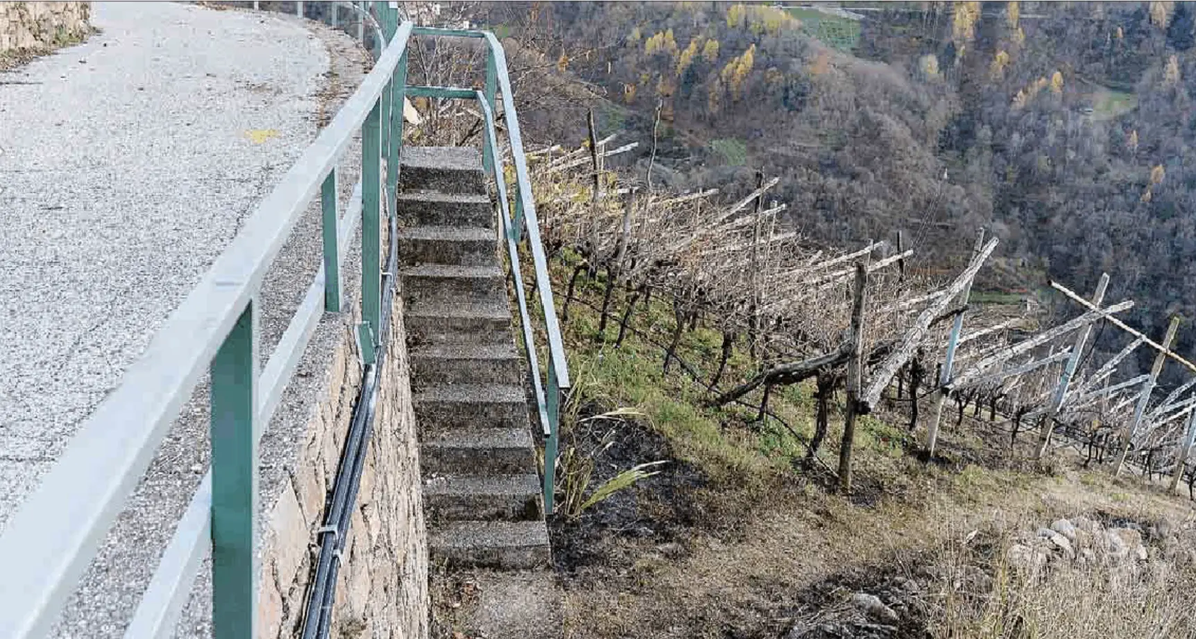 Brucia gli sterpi, rimane ustionato