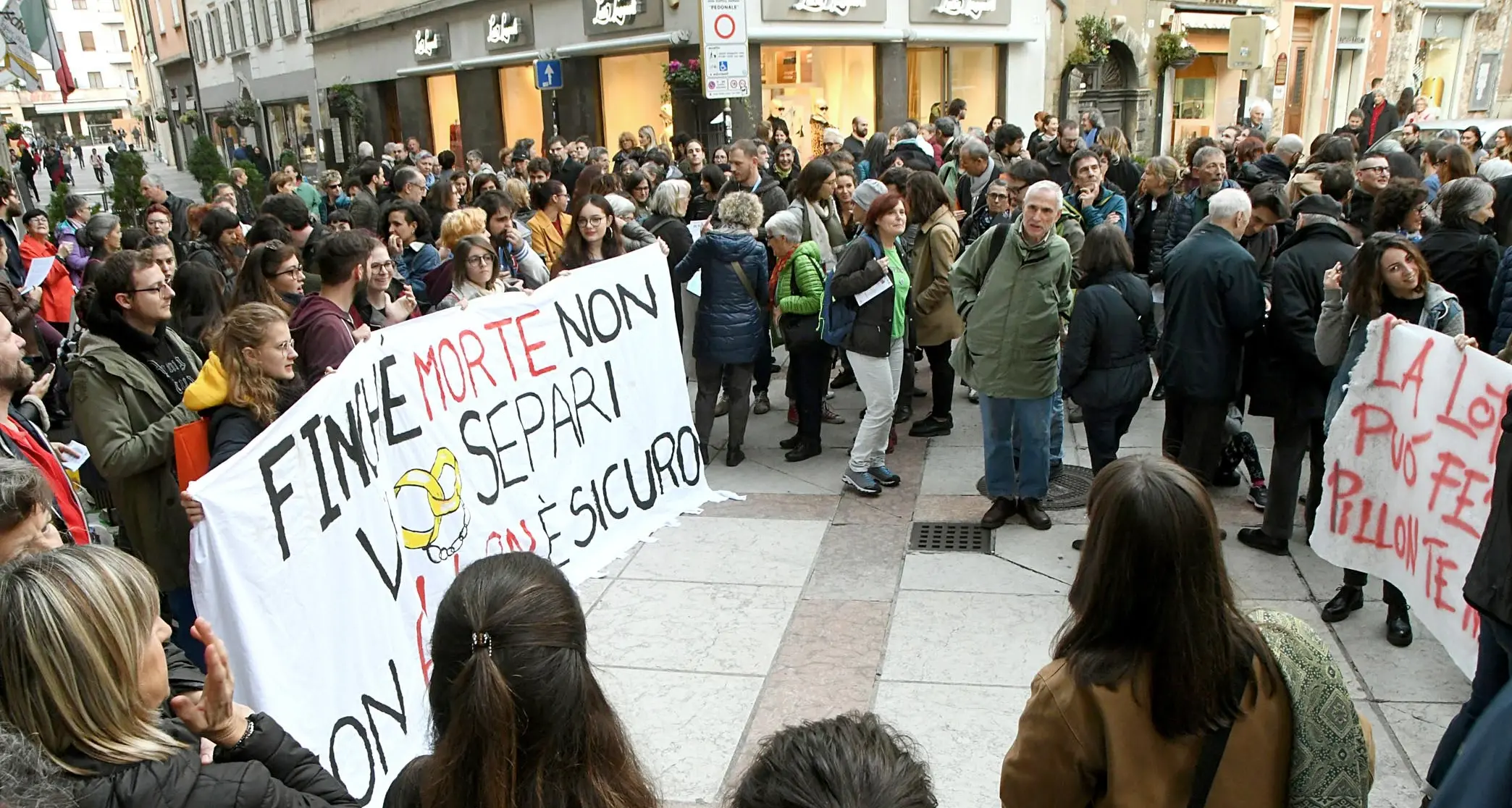 Ddl Pillon, la protesta «Maschilista e classista»
