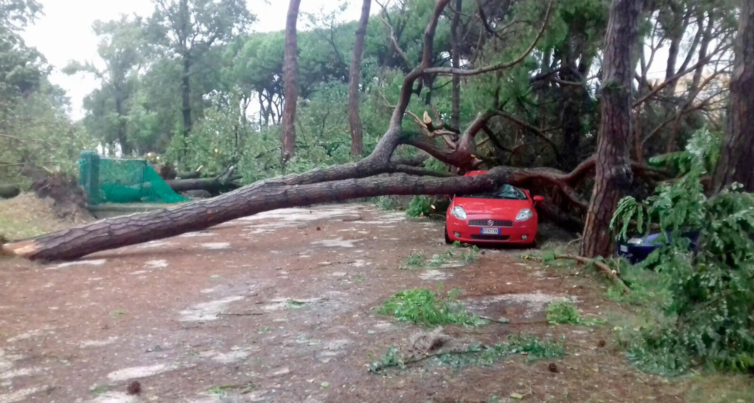 Maltempo, la Sav dona motoseghe ai pompieri