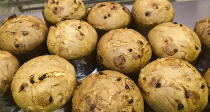Tornano sugli scaffali il pandoro e il panettone Melegatti