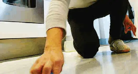Lavori domestici per 30 anni Agli eredi del cognato manda conto di 300mila euro
