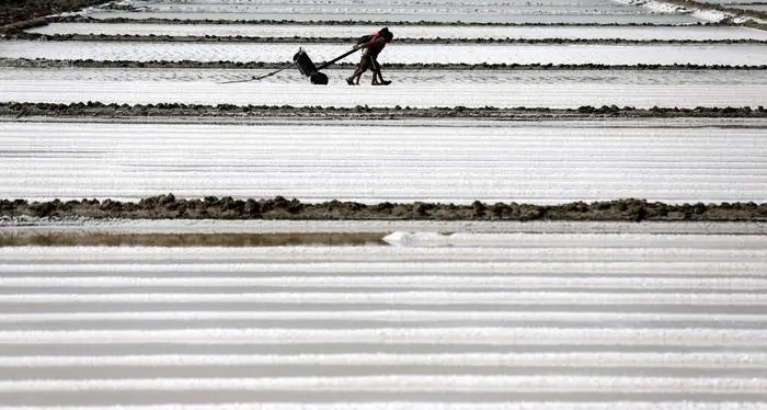 L'Italia svende il sale, 1 kg di Himalayano vale 19 volte il nostro
