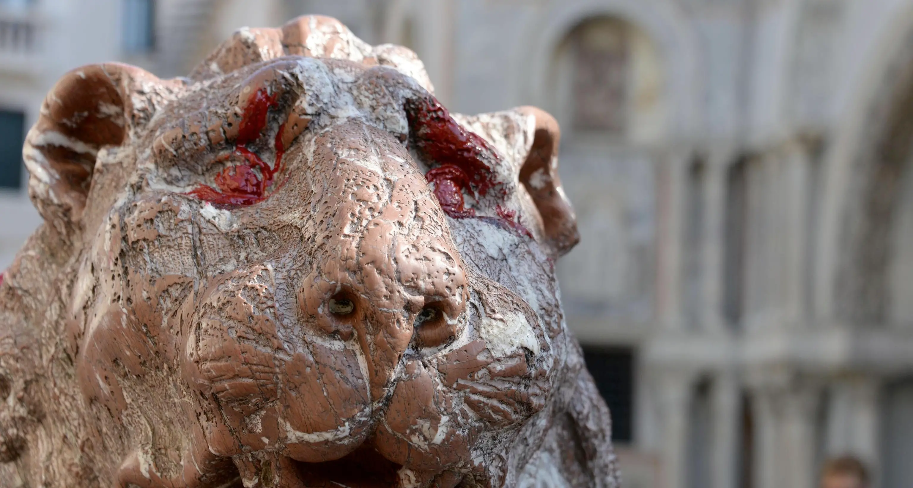 Vandalismi contro il Leoncino di Venezia: nei guai anche una studentessa trentina