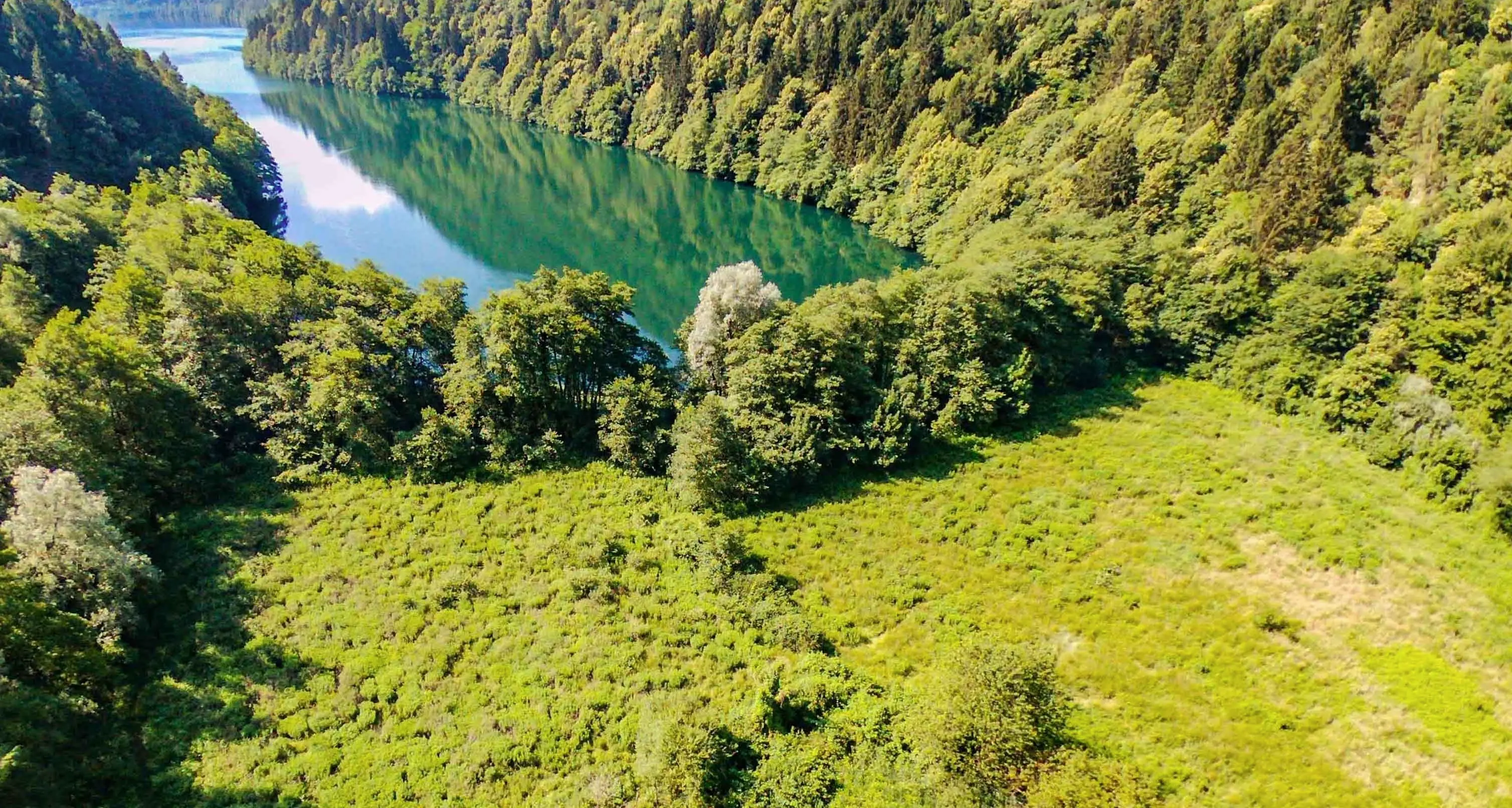 Lago di Levico, nella riserva \"Baruchelli\" solo manutenzione dei sentieri esistenti