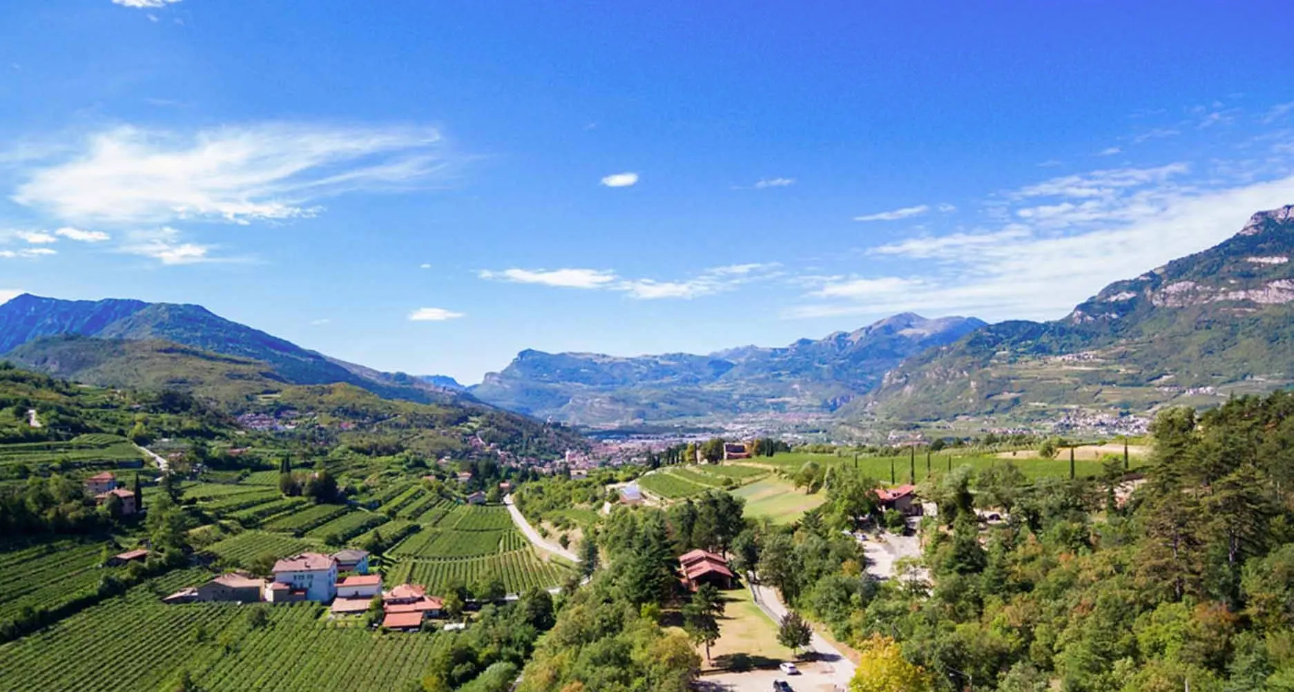 Il futuro del Bosco della Città