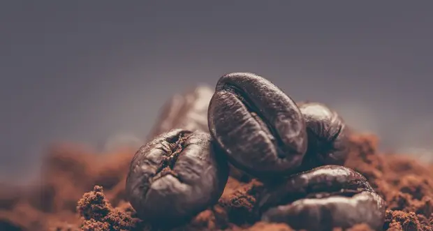 Dal caffè un aiuto contro il Parkinson