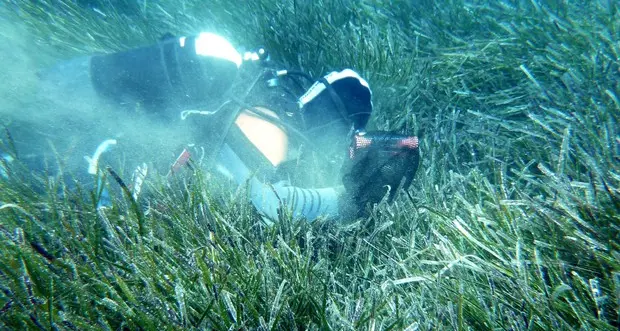 Sos coste del Mediterraneo, l'inquinamento mangia le spiagge