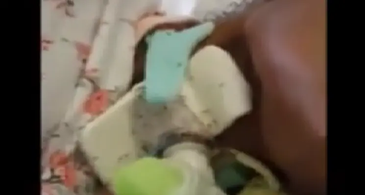 Napoli: paziente intubata in ospedale sommersa dalle formiche