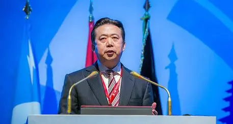 Interpol, Cina ci dia risposte su Meng