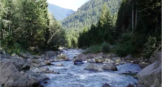 Infortunio a Canal San Bovo: si ferisce al braccio con la motosega