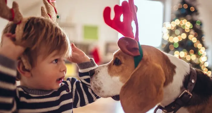 Gli animali domestici in casa difendono i bambini dalle allergie