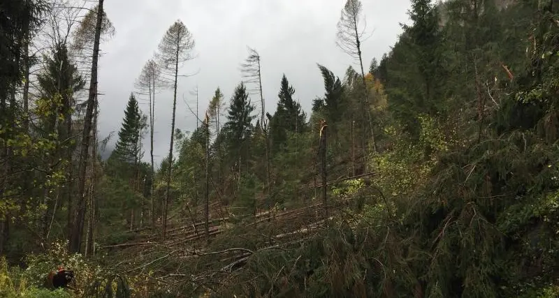 Il Parco Adamello conta i danni