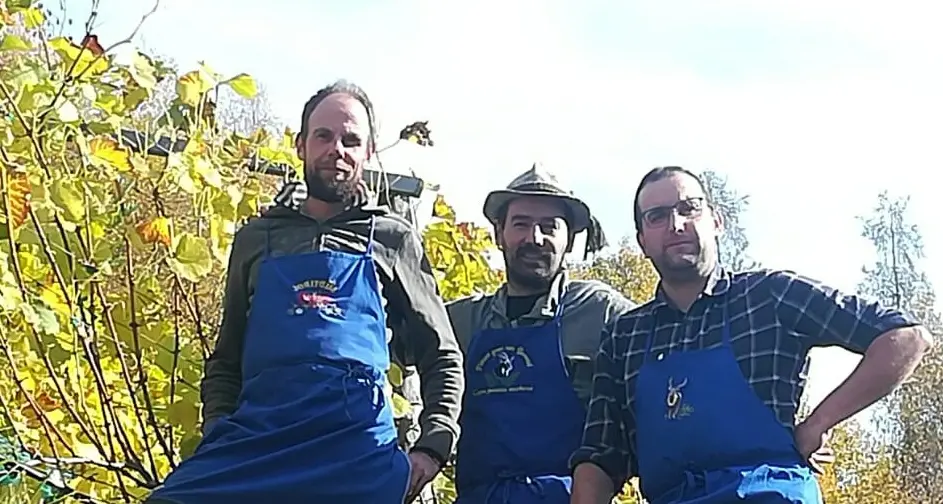 Bedollo, le vigne oltre i mille metri di quota