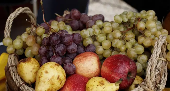 Fao, sprecato ogni anno il 50% di frutta e ortaggi