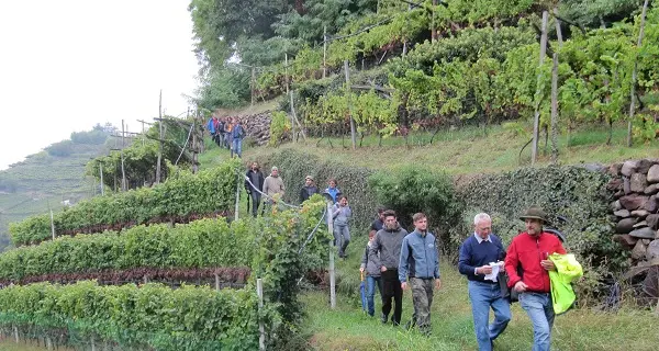 I muretti a secco «patrimonio dell'umanità»