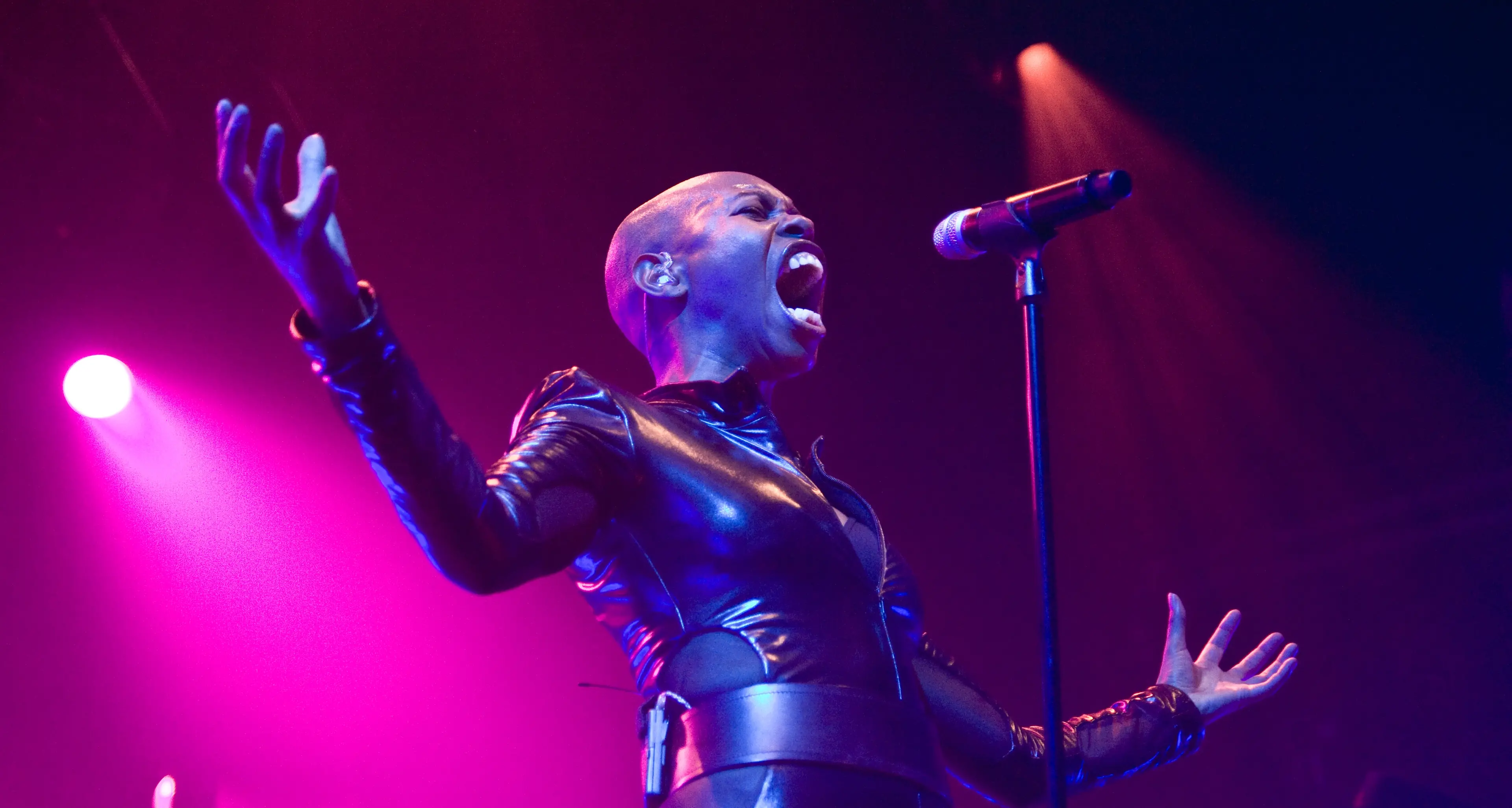 Venticinque anni di Skunk Anansie