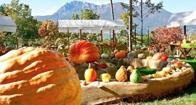 A Lasino il fine settimana sarà all'insegna della zucca