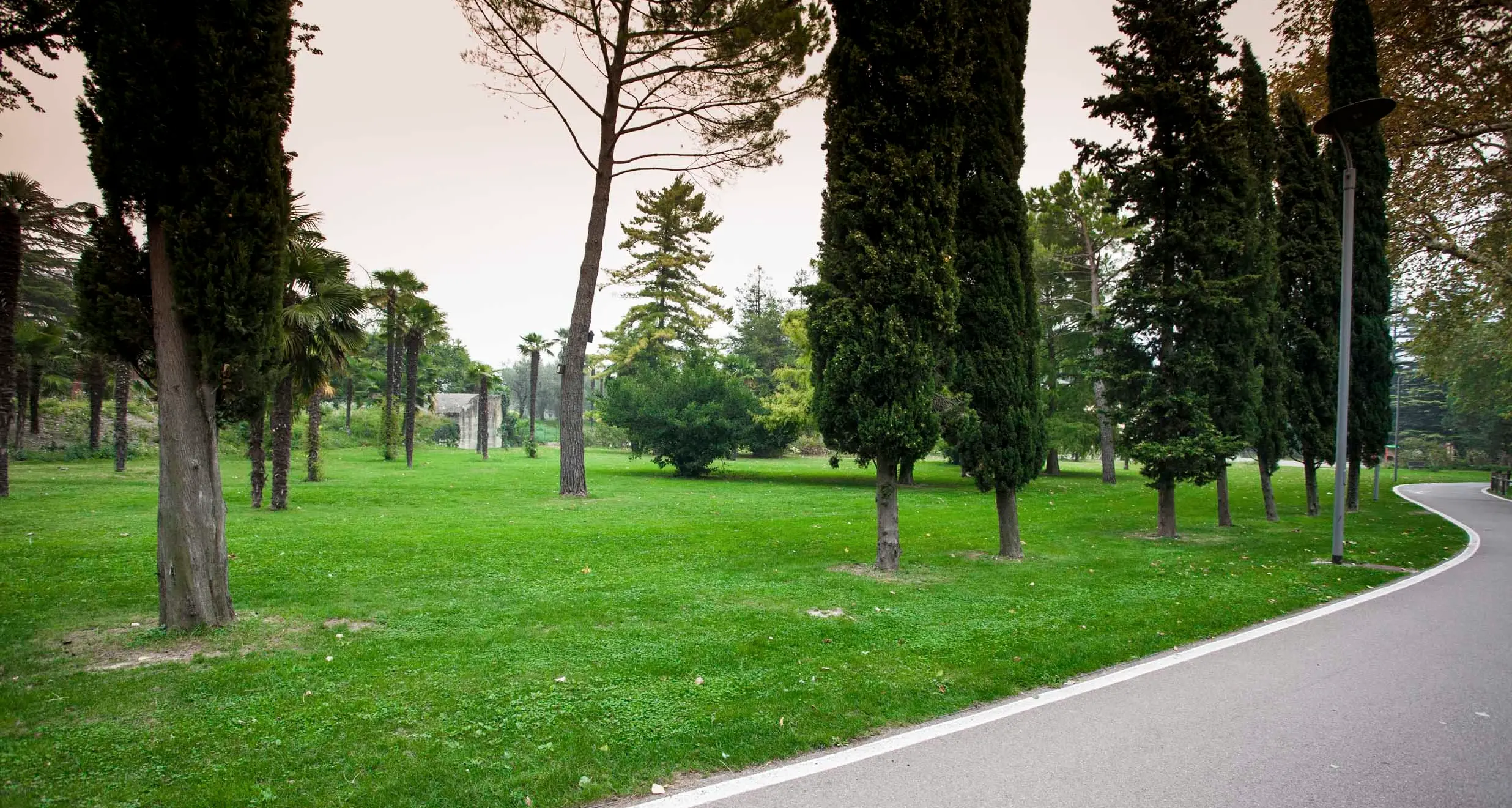 Fascia lago, i rivani chiedono più verde