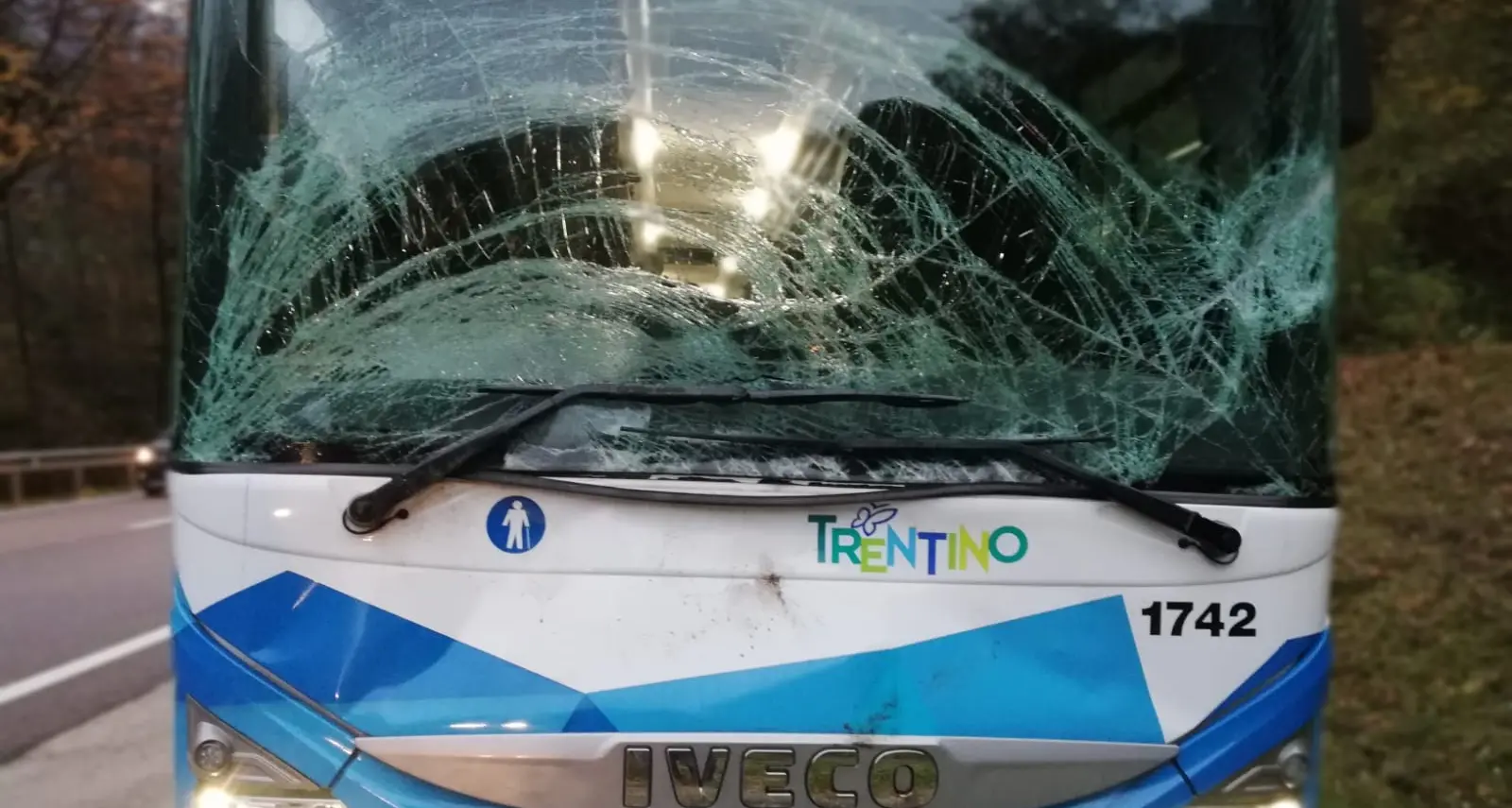 Ponte Arche, cervo sulla strada: frontale contro pullman di linea
