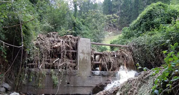 Scoperchiate due malghe a Brentonico