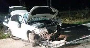 Impatto frontale con la cerva Bmw distrutta, autista ferito
