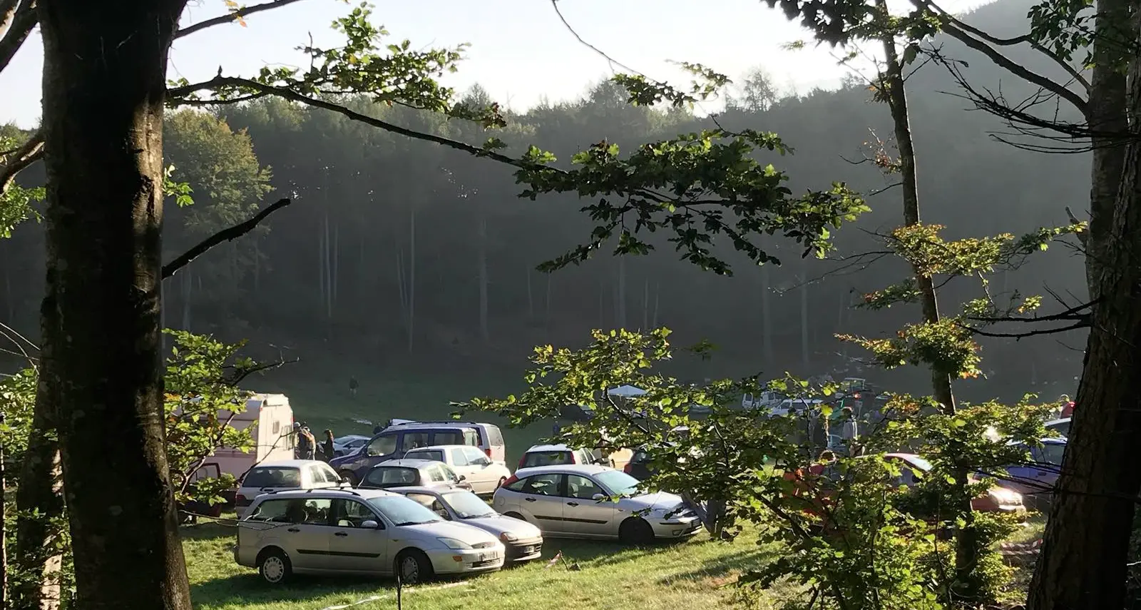 Mega rave party nei dintorni di Pomarolo Multe per transito su una strada forestale E qualcuno ha introppolato i festaioli con un albero