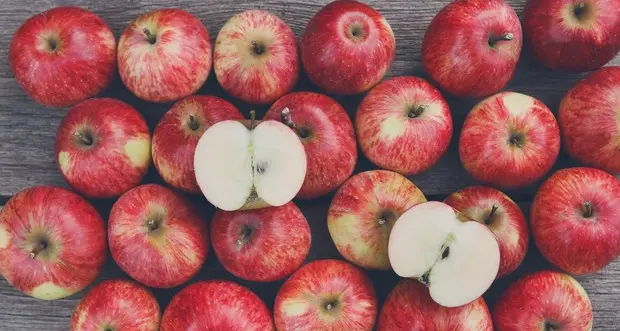 Frutteti, raddoppiati in Trentino gli ettari di \"biologico\", e diminuisce del 20 per cento il consumo di pesticidi