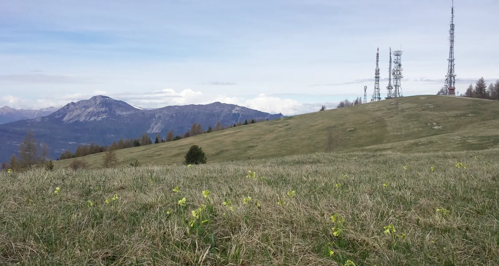 I prati del Finonchio sono un vero tesoro