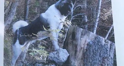 Nila è stata ritrovata Ora è tornata a casa