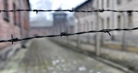 «Shoah colpa attività ebrei», bufera su Abu Mazen