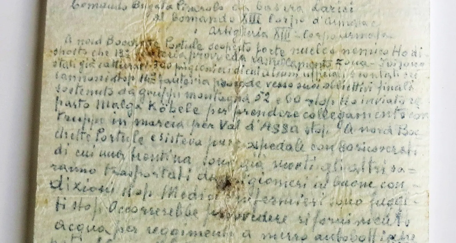 Il piccione viaggiatore della Grande Guerra