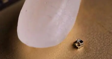 Il computer più piccolo del mondo sta dentro un chicco di riso
