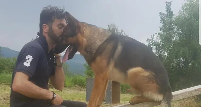 Kaos morto avvelenato: era il cane-eroe di Amatrice