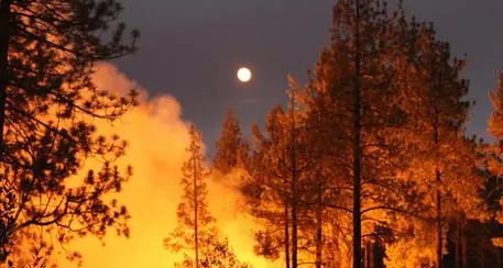 Incendi in California, 5 le vittime