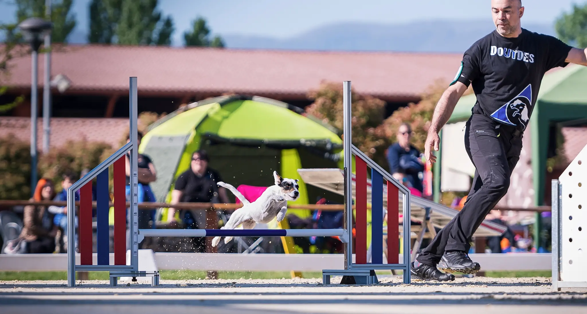 L'uomo che insegna lo sport ai suoi cani