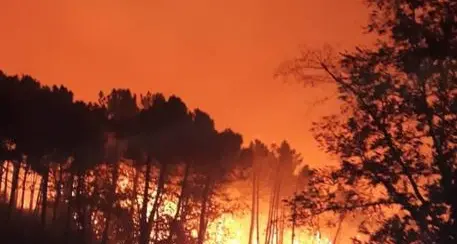 Incendio nel Pisano: brucia monte Serra