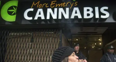 Il Canada legalizza la marijuana Cannabis Act approvato