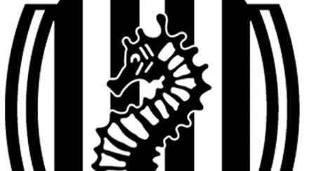 Tribunale Figc, sanzione per il Cesena -15 punti