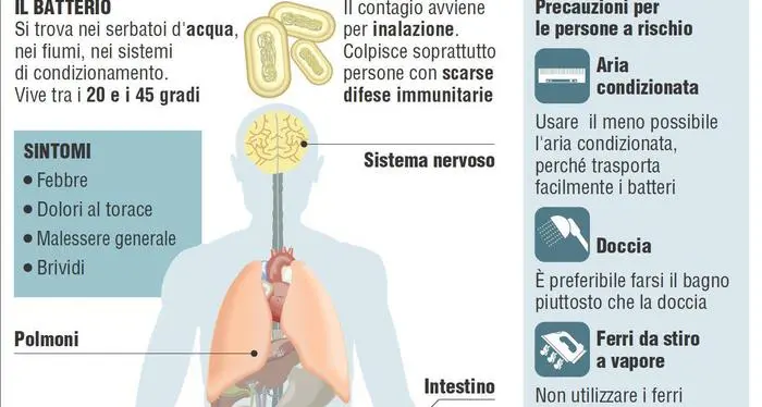 Allarme legionella in Lombardia Tre vittime contagiate in ospedale