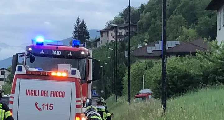 Dermulo, scontro auto-cervo: ieri vigili del fuoco di Taio al lavoro