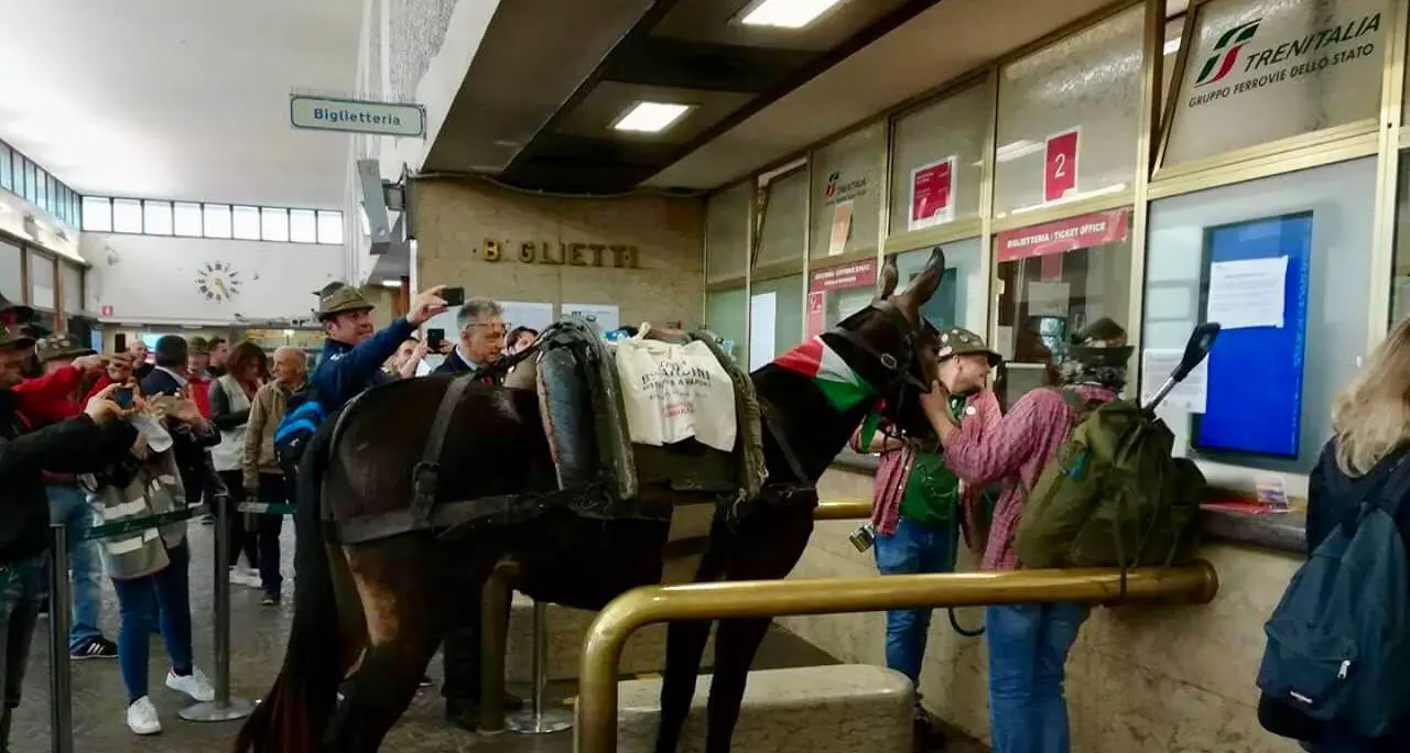 E il mulo degli alpini si ritrova in coda in stazione