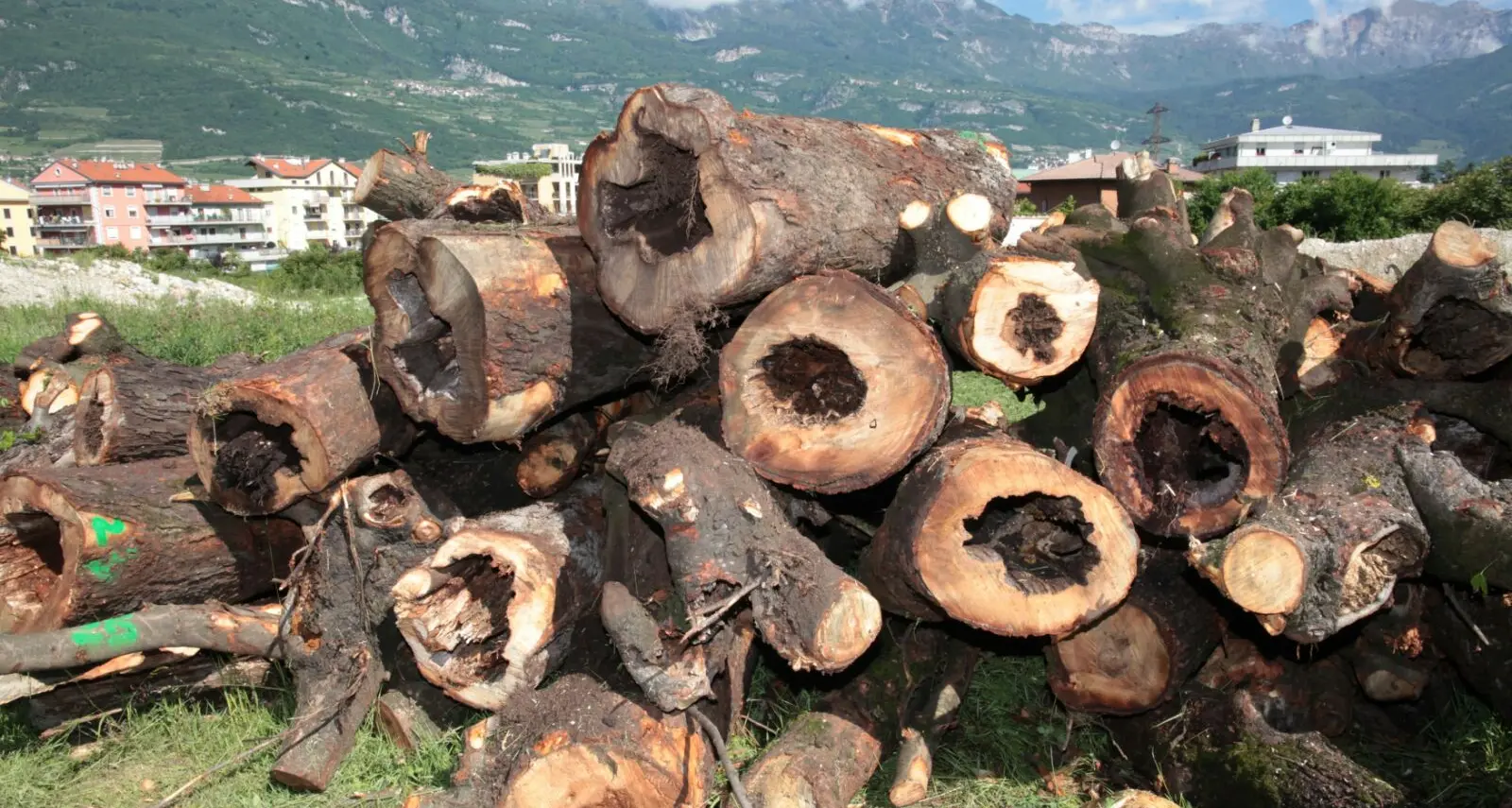 Boscaiolo scivola e batte la testa: morto sul colpo a Mazzon di Egna