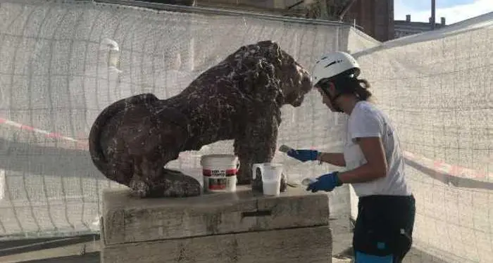 Venezia, ripulito il leoncino imbrattato con la vernice